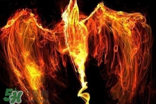 寒食節(jié)可以用火嗎？寒食節(jié)可以燒火嗎？