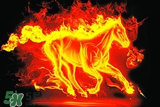 寒食節(jié)可以用火嗎？寒食節(jié)可以燒火嗎？