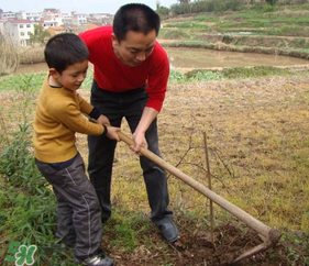 春天可以種哪些果樹？春天適合種哪些果樹？