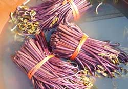 蕨菜不能和什么一起吃？蕨菜和什么不能一起吃？