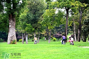 戶外活動注意事項 野外露營注意事項 戶外活動注意事項 野外露營注意事項