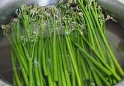 蕨菜怎么洗？蕨菜怎么清洗才干凈？