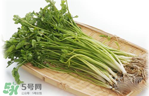 吃野芹菜會(huì)中毒嗎？吃野芹菜中毒了怎么辦？