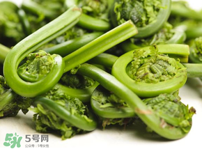 蕨菜怎么洗？蕨菜怎么清洗才干凈？