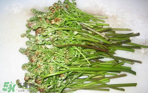 蕨菜怎么保存？蕨菜怎么保鮮？