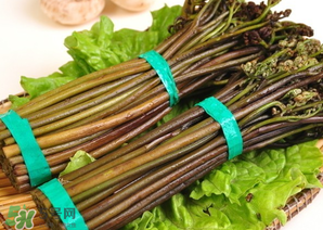 蕨菜怎么保存？蕨菜怎么保鮮？