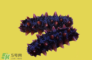 春天能吃海參嗎？春天吃海參效果好嗎？
