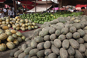 上火能吃哈密瓜嗎 哈密瓜上火嗎 上火能吃哈密瓜嗎 哈密瓜上火嗎