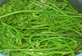 蕨菜怎么洗？蕨菜怎么清洗才干凈？