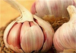 大蒜有種子嗎？大蒜的種子是什么？