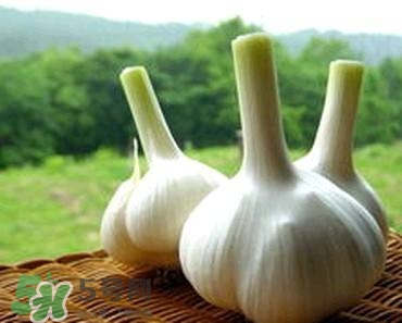 吃大蒜有什么好處？大蒜有什么功效？