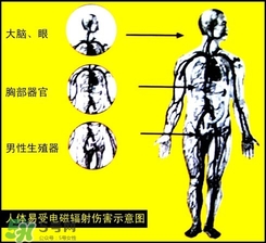防輻射服什么時(shí)候開(kāi)始穿？防輻射服真的有用嗎？