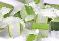 出水痘能用蘆薈膠嗎？水痘破了能擦蘆薈膠嗎？