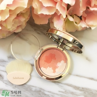 雪花秀花瓣腮紅多少錢？雪花秀花瓣腮紅專柜價格
