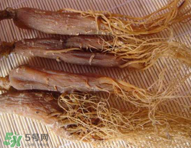 春天能吃紅參嗎？春天可以吃紅參嗎？