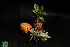 春天可以吃菠蘿嗎？春天吃菠蘿有什么好處？