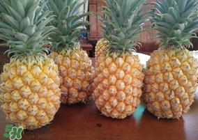 春天可以吃菠蘿嗎？春天吃菠蘿有什么好處？