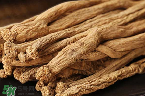 春天能吃黨參嗎？黨參什么人不能吃？