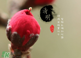 清明節(jié)為什么要吃清明果？為什么清明節(jié)要吃清明果？