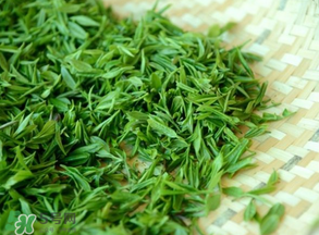 清明茶什么時(shí)候采？采清明茶什么時(shí)候結(jié)束？