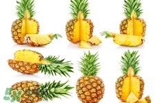 3月份有菠蘿吃嗎？三月份菠蘿可以吃嗎？