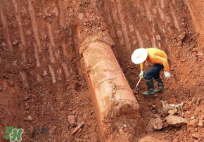 清明節(jié)遷墳好不好？2017年清明節(jié)哪天適合遷墳？