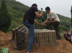 清明節(jié)遷墳好不好？2017年清明節(jié)哪天適合遷墳？