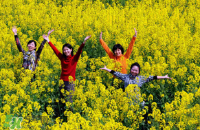 四月份還有油菜花嗎？4月份還有油菜花嗎？