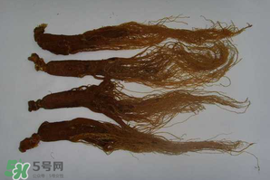 紅參可以天天吃嗎？紅參的功效與作用