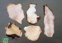 吃茯苓有什么好處？吃茯苓的禁忌