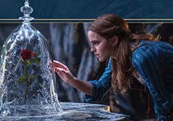 阿芙美女與野獸合作款有哪些？阿芙美女與野獸護(hù)膚品價(jià)格