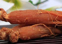 春天能吃紅參嗎？春天可以吃紅參嗎？