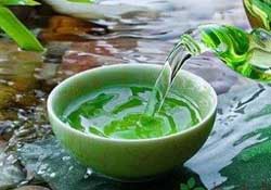 清明茶什么時(shí)候采？采清明茶什么時(shí)候結(jié)束？