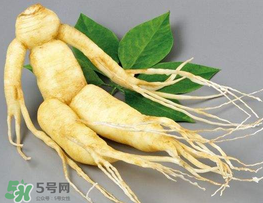 春天能吃高麗參嗎？春天可以喝高麗參湯嗎？