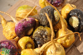 春天能吃瑪卡嗎？女人春天能吃瑪卡嗎？