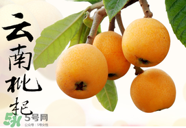 枇杷能放冰箱嗎？枇杷可以放冰箱保存嗎？