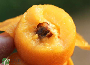 枇杷怎么保存？枇杷剝皮后怎樣保存？