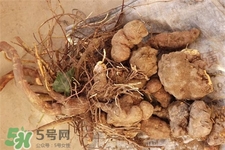 何首烏的營(yíng)養(yǎng)價(jià)值 何首烏的功效與作用 何首烏的營(yíng)養(yǎng)價(jià)值 何首烏的功效與作用