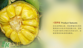 菠蘿蜜和榴蓮的區(qū)別 菠蘿蜜和榴蓮哪個(gè)好吃？