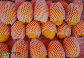 枇杷哪些人不能吃？哪些人不宜食用枇杷？