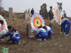 清明節(jié)穿什么衣服？清明節(jié)是適合穿什么衣服？