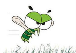 蚊蟲叮咬會傳播艾滋病嗎？蚊蟲會傳染乙肝嗎？