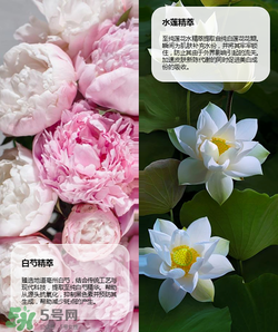 羽西丁一晨限定護膚品多少錢？羽西丁一晨限定價格