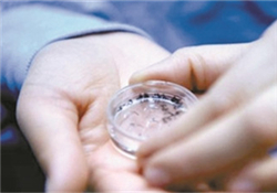 凍卵是什么？凍卵子需要多少錢？