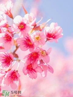 歐萊雅美女與野獸指甲油多少錢？歐萊雅美女與野獸指甲油試色