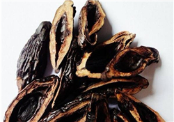 檳榔為什么會(huì)上癮？檳榔上癮怎么戒？