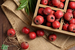 產(chǎn)后惡露多久排干凈 產(chǎn)后惡露多久能排干凈 產(chǎn)后惡露多久排干凈 產(chǎn)后惡露多久能排干凈