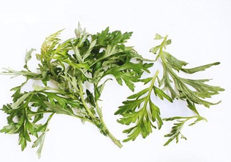 艾草可以治痛經(jīng)嗎？艾草能治月經(jīng)不調(diào)嗎？