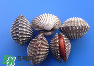 泥蚶怎么讀？泥蚶做法