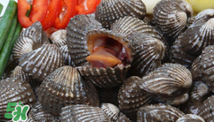 泥蚶怎么讀？泥蚶做法